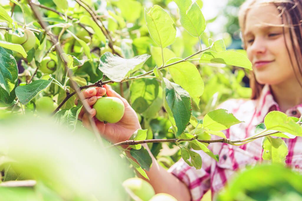 Kredyt obrotowy AGRO